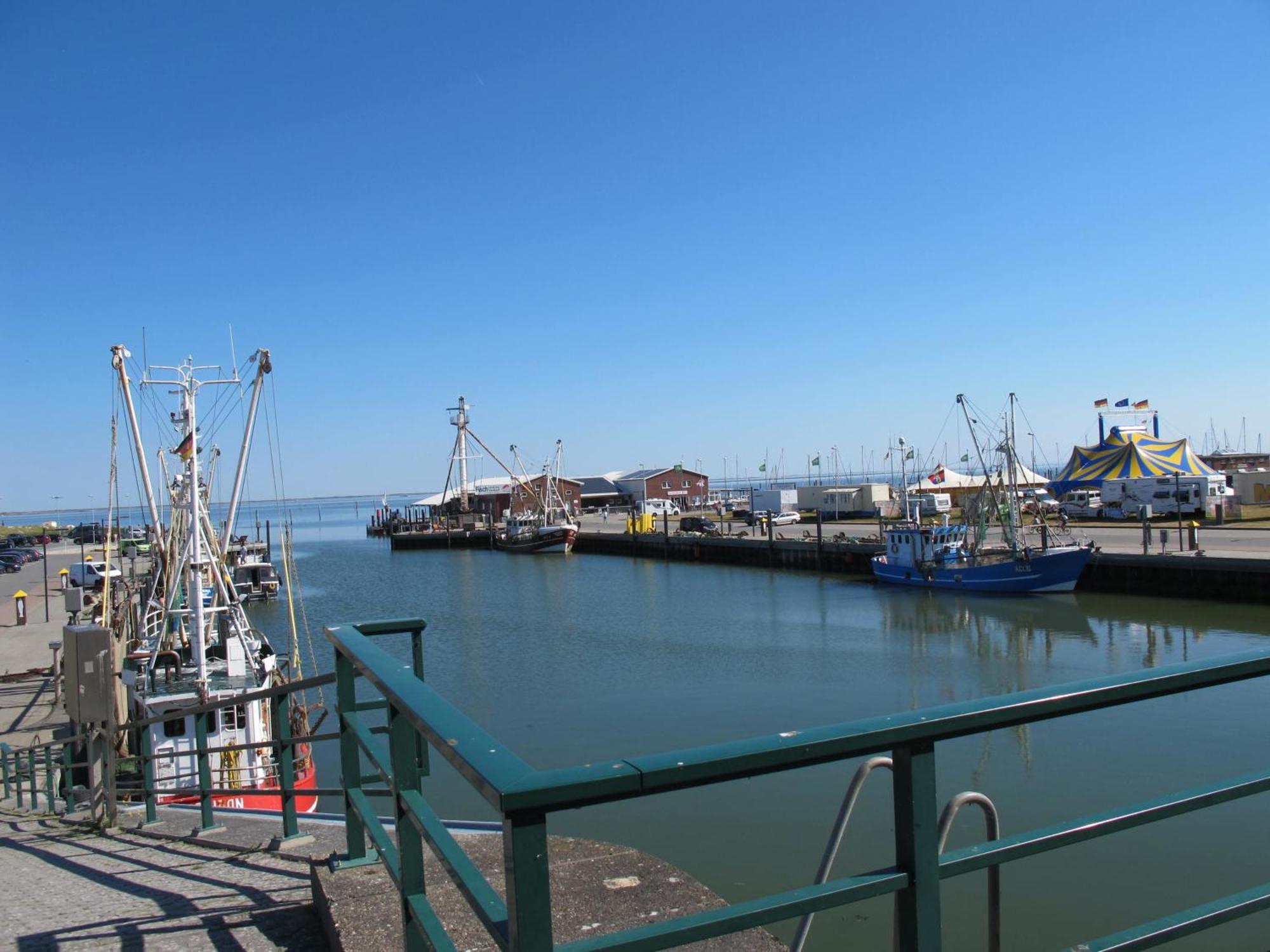 Fewo Abdena Dorn200 Naehe Dornumersiel An Der Nordsee Exterior photo